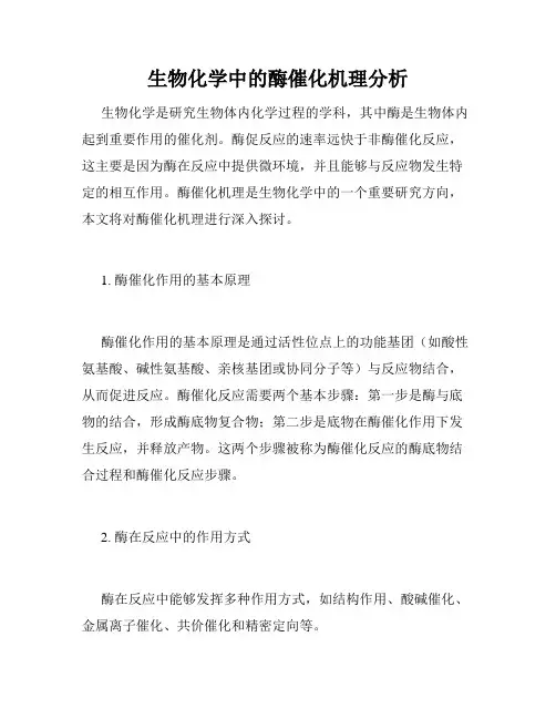 生物化学中的酶催化机理分析