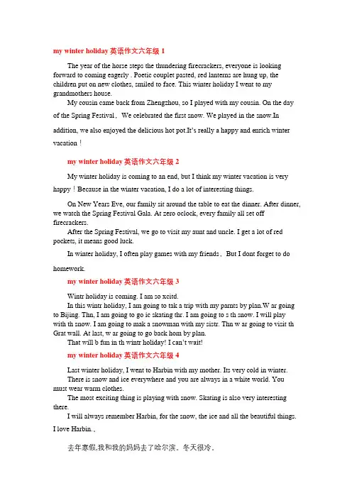 今年冬天暑假英语作文六年级
