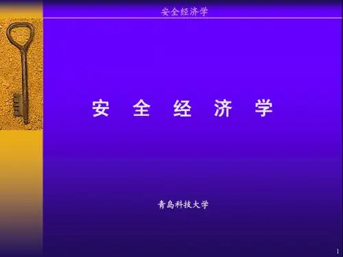 安全经济学