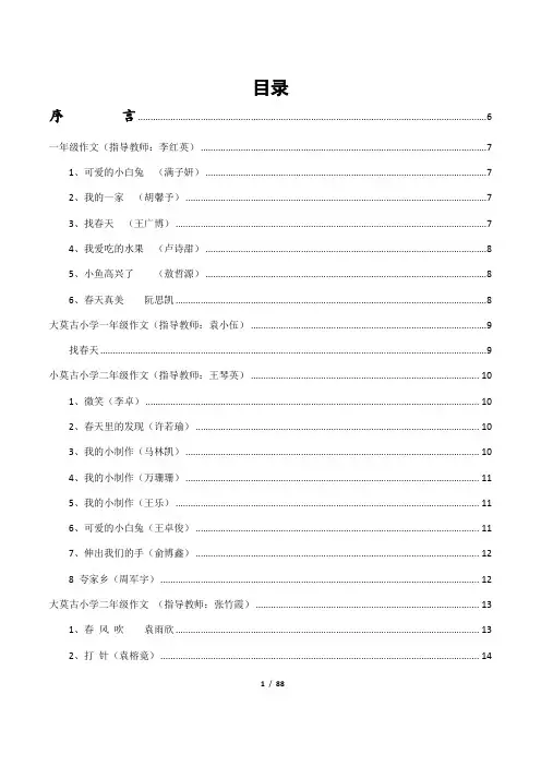 中心完小优秀作文集