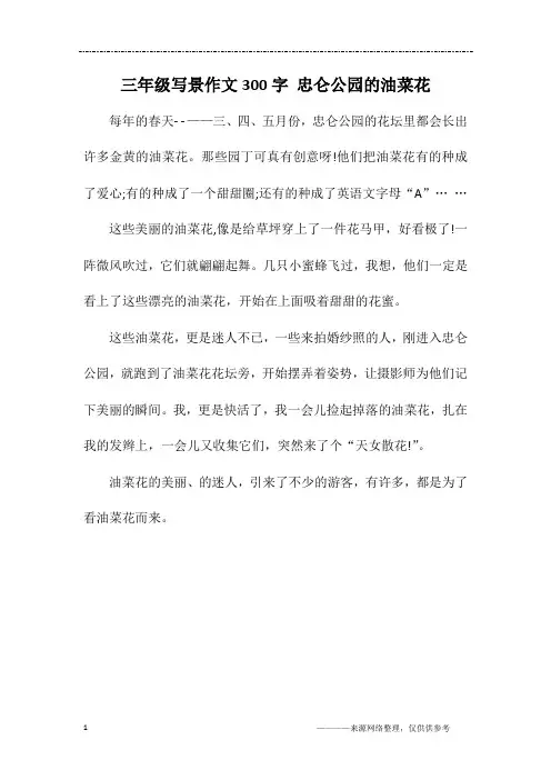 三年级写景作文300字 忠仑公园的油菜花