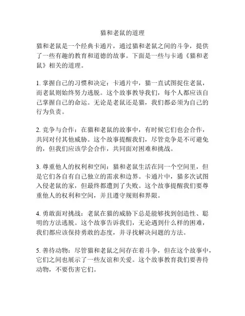 猫和老鼠的道理