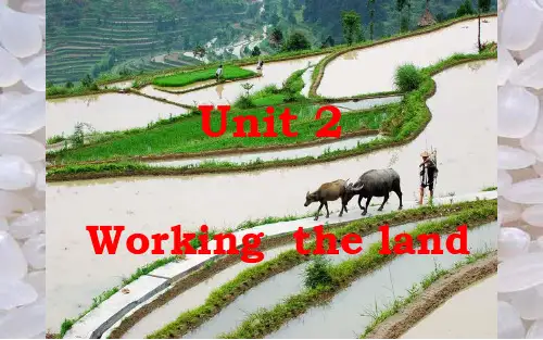 人教版高中英语高一必修4 Unit2