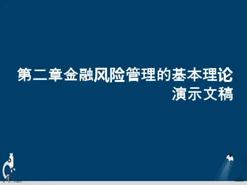 第二章金融风险管理的基本理论演示文稿
