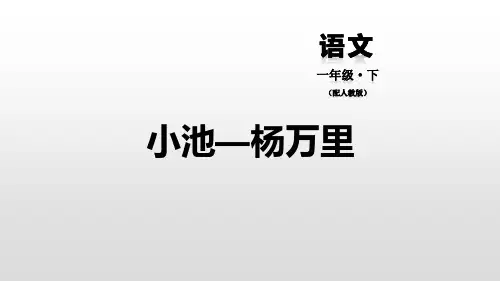 《小池》PPT课件