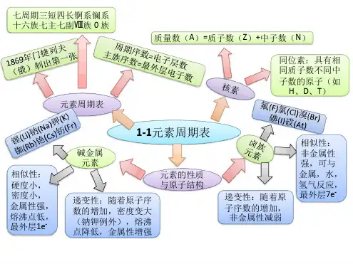高中必修二第一章思维导图