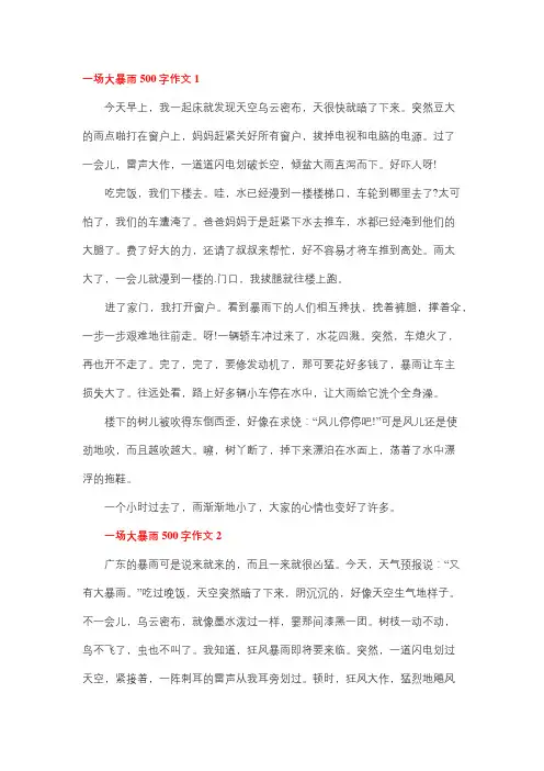 一场大雨作文500字六年级
