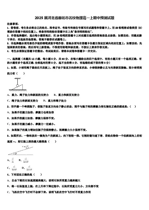 2025届河北省廊坊市名校物理高一上期中预测试题含解析