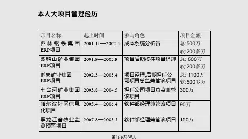 大型项目管理经验分享PPT课件