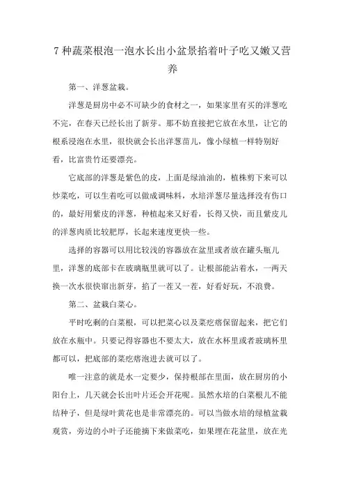 7种蔬菜根泡一泡水长出小盆景掐着叶子吃又嫩又营养