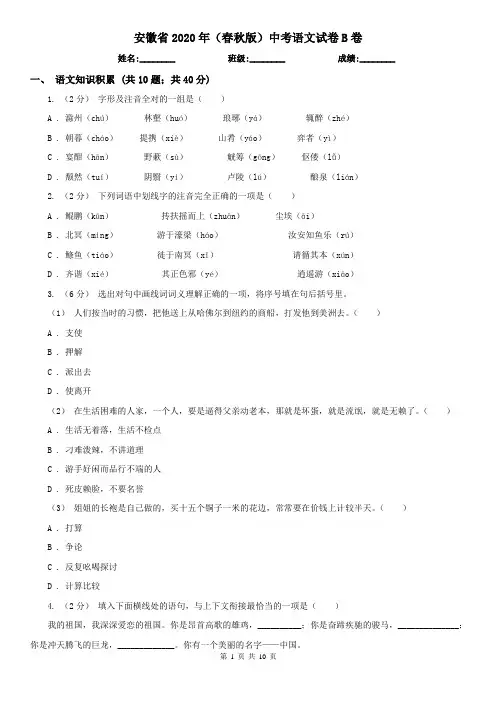 安徽省2020年(春秋版)中考语文试卷B卷精编
