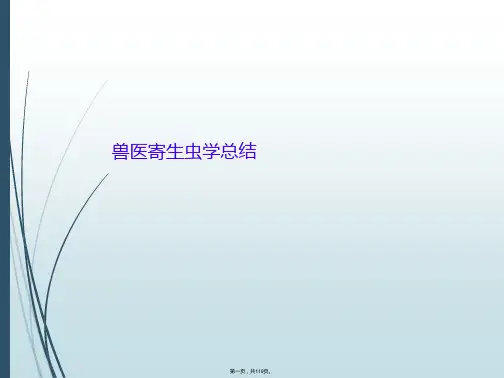 兽医寄生虫学总结