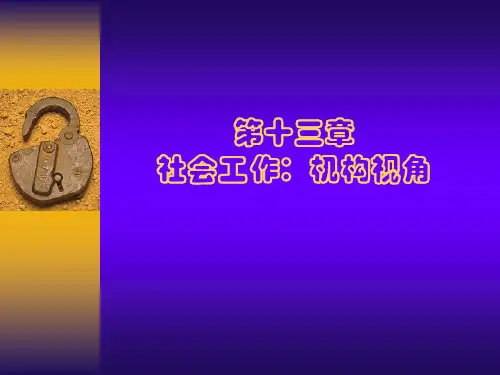 第十三章 社会工作：机构视角