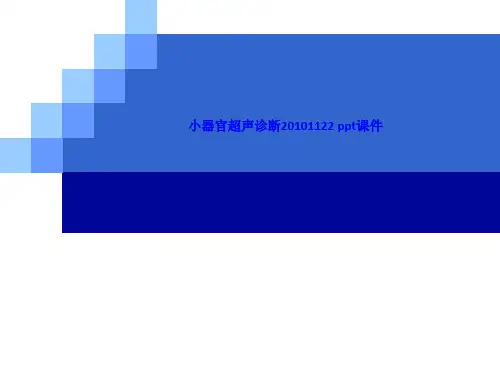 小器官超声诊断20101122 ppt课件