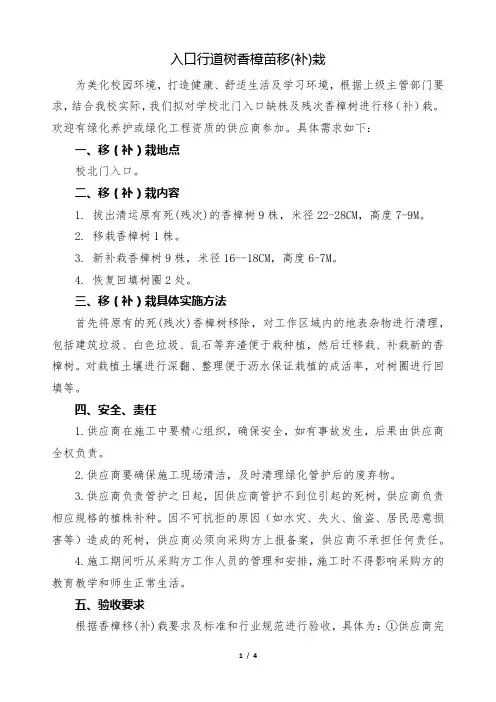 入口行道树香樟苗移(补)栽