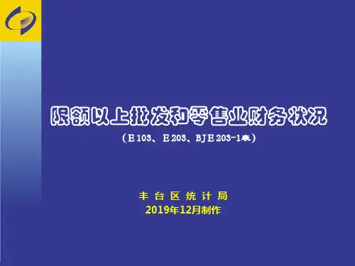 限额以上批发和零售业财务状况(E103、E203、BJE203-1表