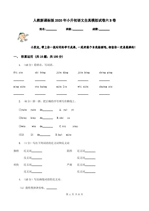 人教新课标版2020年小升初语文全真模拟试卷六B卷