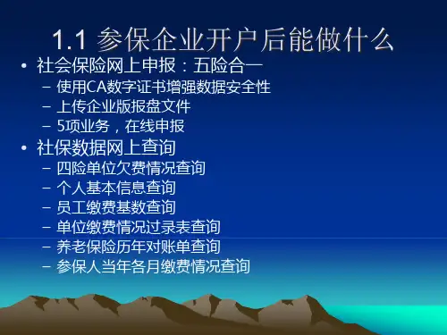 网上申报培训PPT演示文稿(企业及个人部分).pptx