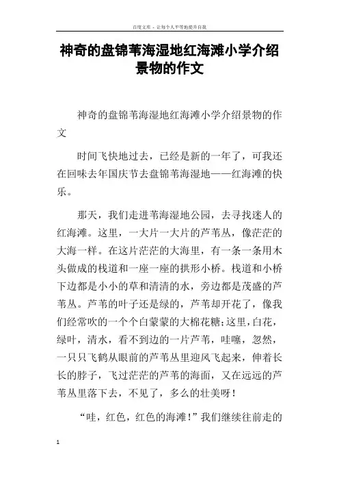 神奇的盘锦苇海湿地红海滩小学介绍景物的作文