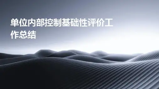 单位内部控制基础性评价工作总结PPT