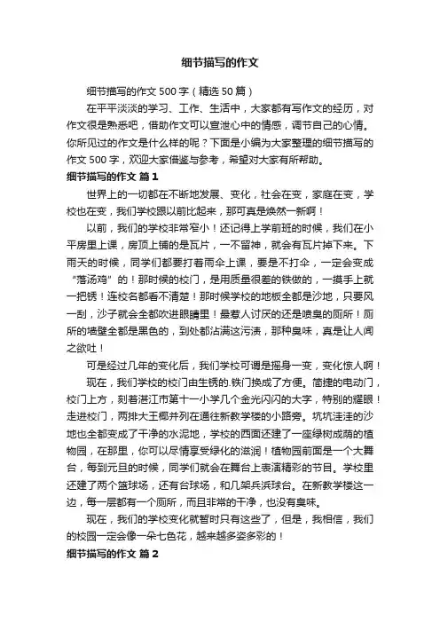细节描写的作文500字（精选50篇）
