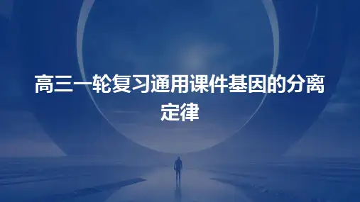 高三一轮复习通用课件基因的分离定律
