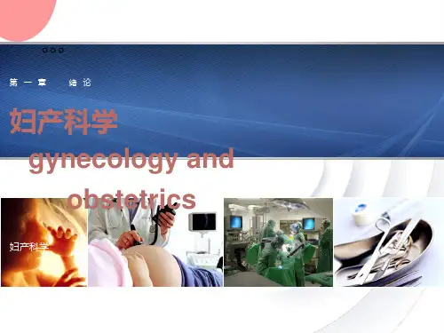 临床妇产科1-3章女性生殖系统的解剖与生理