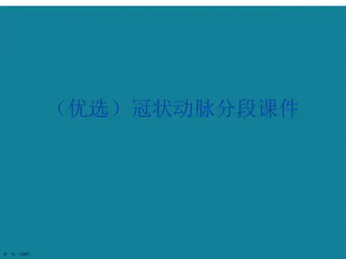 演示文稿冠状动脉分段课件