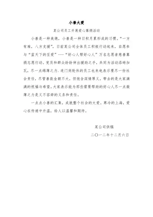 小善大爱