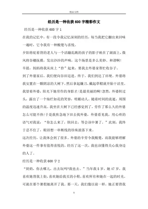 经历是一种收获600字精彩作文