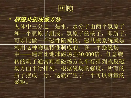 MRI技术PPT课件