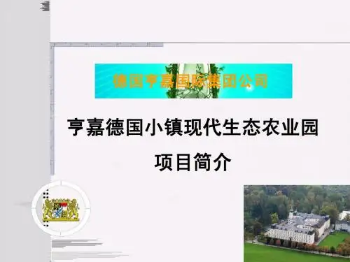 《亨嘉 德国风情小镇项目》项目情况介绍