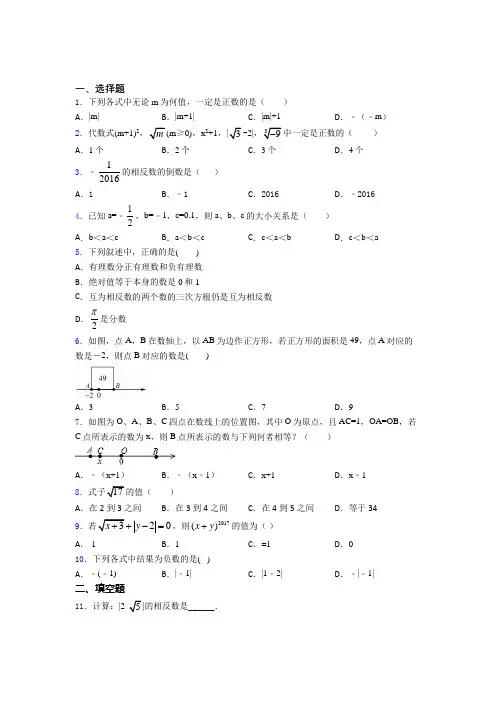 语法知识—有理数的解析含答案
