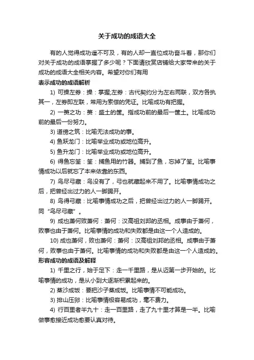 关于成功的成语大全