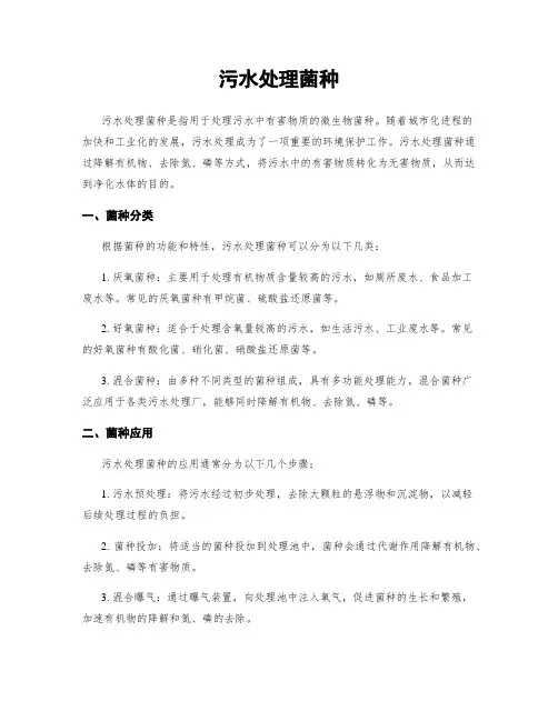 污水处理菌种