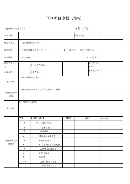 预算项目申报书模板