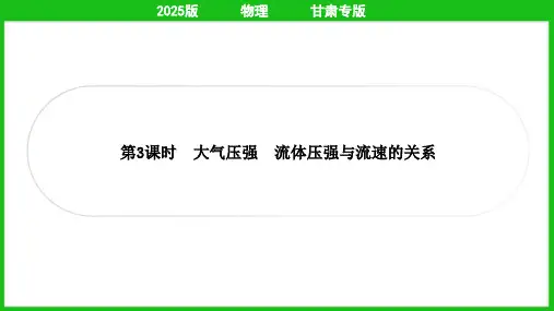 2025年中考物理总复习第一部分考点梳理第9讲压强 第3课时大气压强 流体压强与流速的关