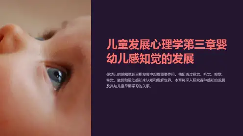 儿童发展心理学第三章婴幼儿感知觉的发展