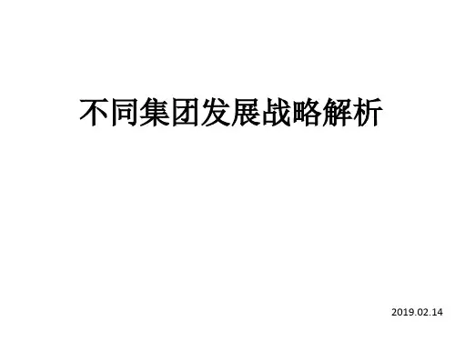 横向一体化、纵向一体化、多元化发展战略区别PPT