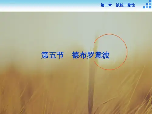 16-17物理粤教版选修3-5 第二章第五节德布罗意波 课件 精品