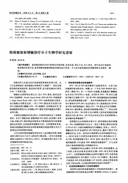 胶质瘤放射增敏治疗分子生物学研究进展