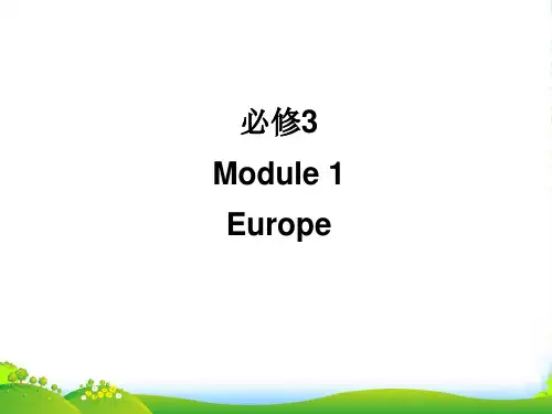 《名师一号》新课标高考英语一轮复习 Module1 Europe 课件 外研必修3