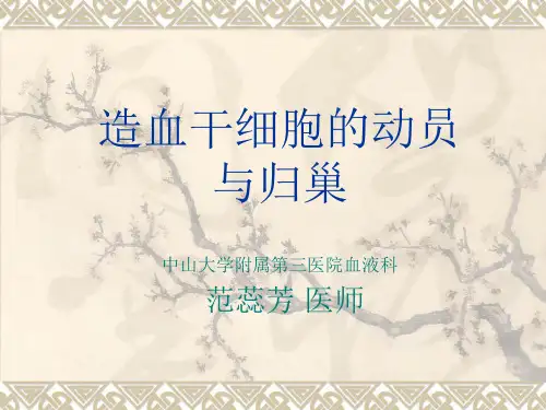 【医学PPT课件大全】 造血干细胞的动员与归巢