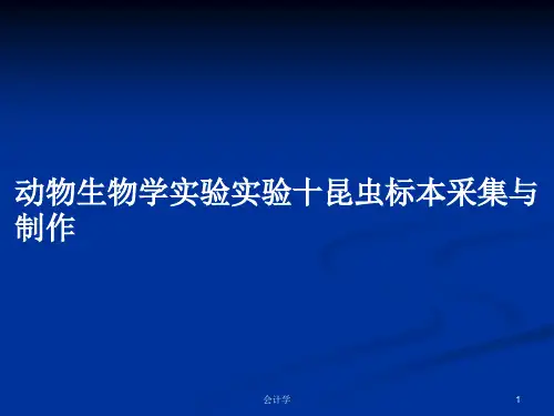 动物生物学实验实验十昆虫标本采集与制作PPT教案