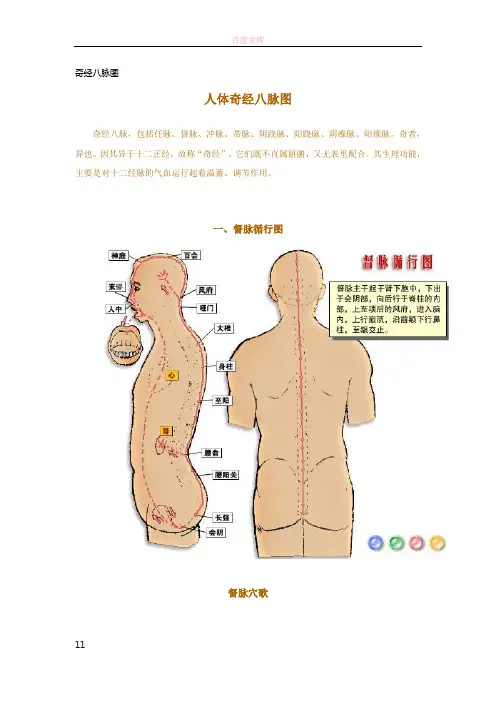 奇经八脉图