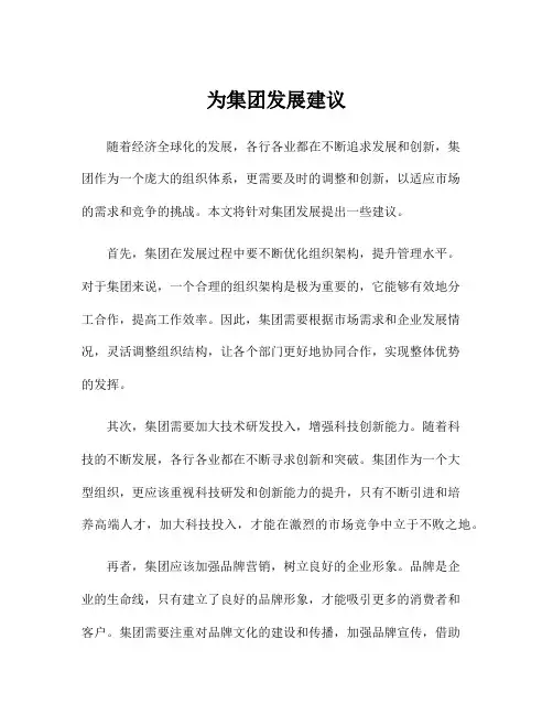 为集团发展建议