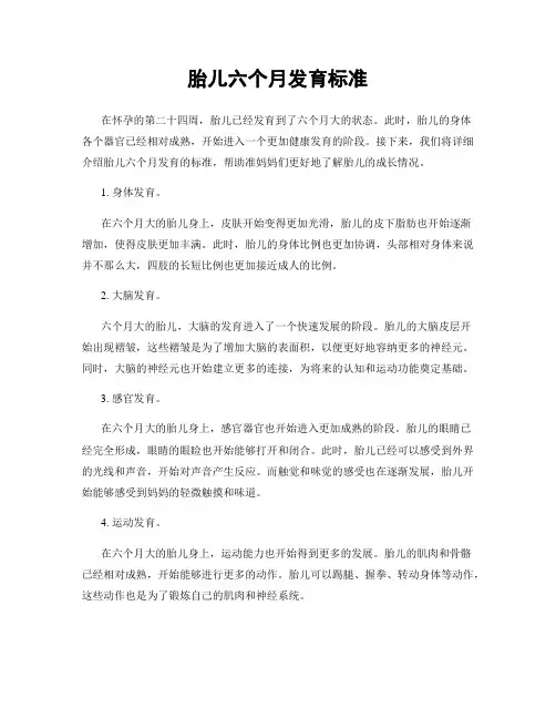 胎儿六个月发育标准