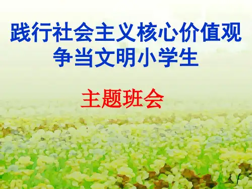 践行社会主义核心价值观,争当文明小学生ppt课件