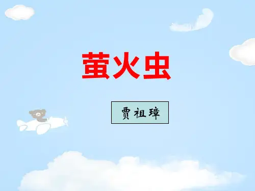 《萤火虫》PPT【优质课件】