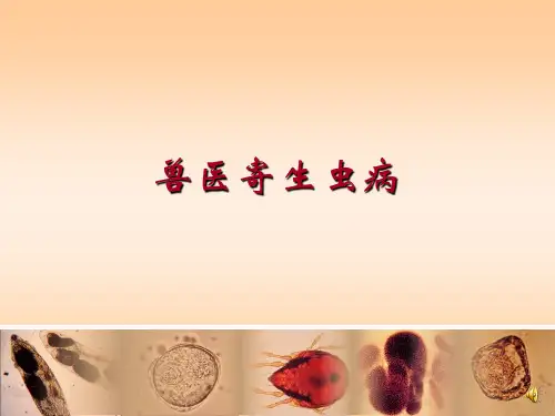 动物医学课件：禽寄生虫病